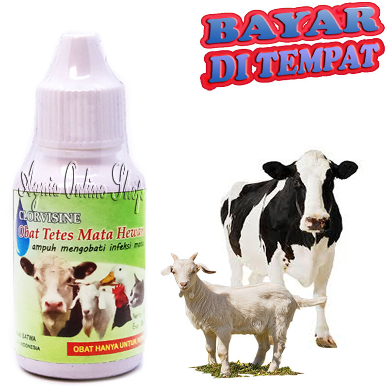 Obat Mata Sapi Kambing CLORVISINE iritasi Merah Berair Belekan Sakit Infeksi Bengkak