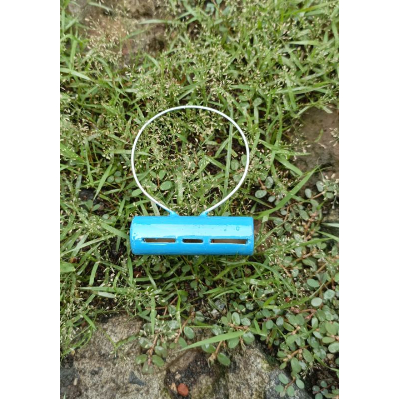 SAWANGAN KALUNG LUBANG 3 HOTANG MERPATI