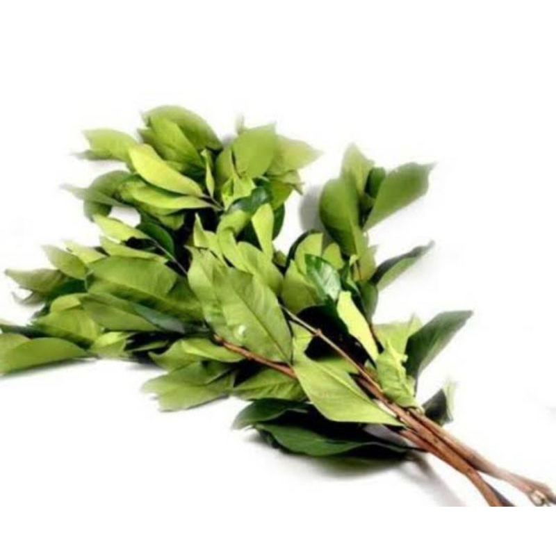 

daun sere, daun kunyit, daun salam, daun jeruk