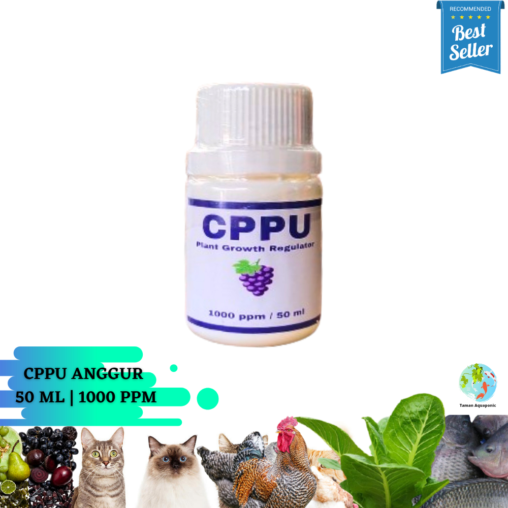 (FreeOngkir) CPPU Anggur ZPT Untuk Memperbesar Buah Anggur Termurah Terlaris