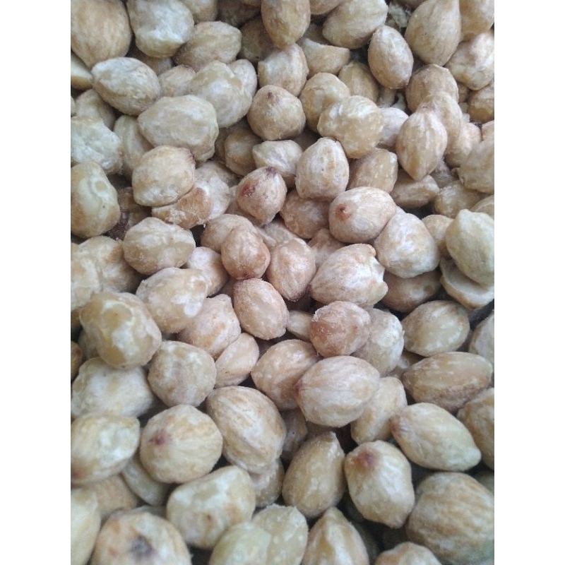 

Kemiri/ Miri grade A utuh / bumbu masak