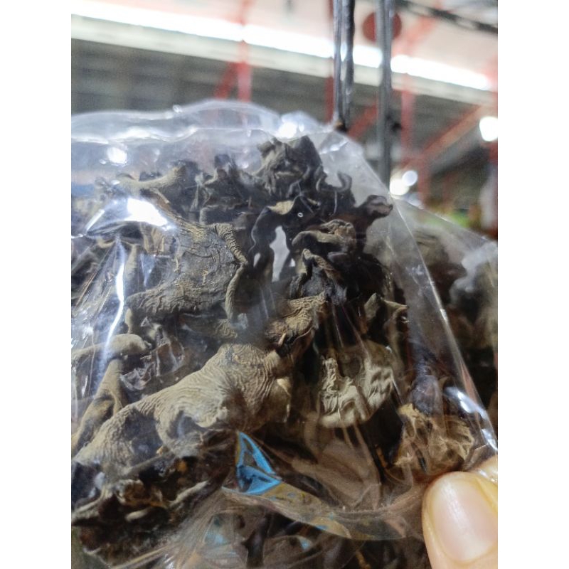 

jamur kuping 10 gram