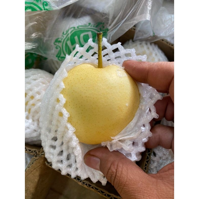 

Pear century|buah segar bandung|nuri fruits|500gram|buah pear|buah segar bandung|pear