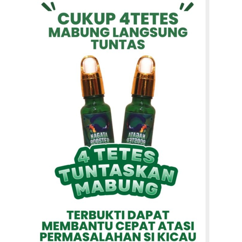 Nagata booster atasi mabung ngurak rontok bulu boster moulting ngorak