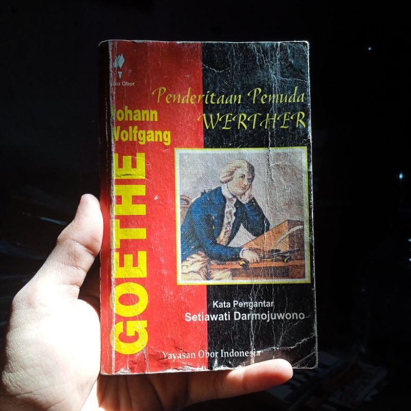 Johan Wolfgang Goethe; Penderitaan Pemuda Werther