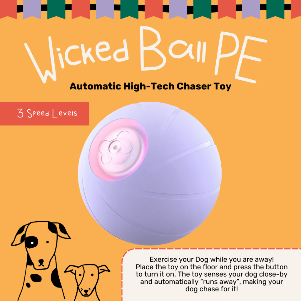 Cheerble - Wicked Ball PE