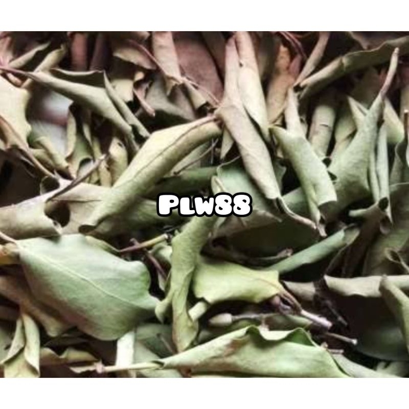 

Benalu jeruk nipis kering natural organik 500 gram