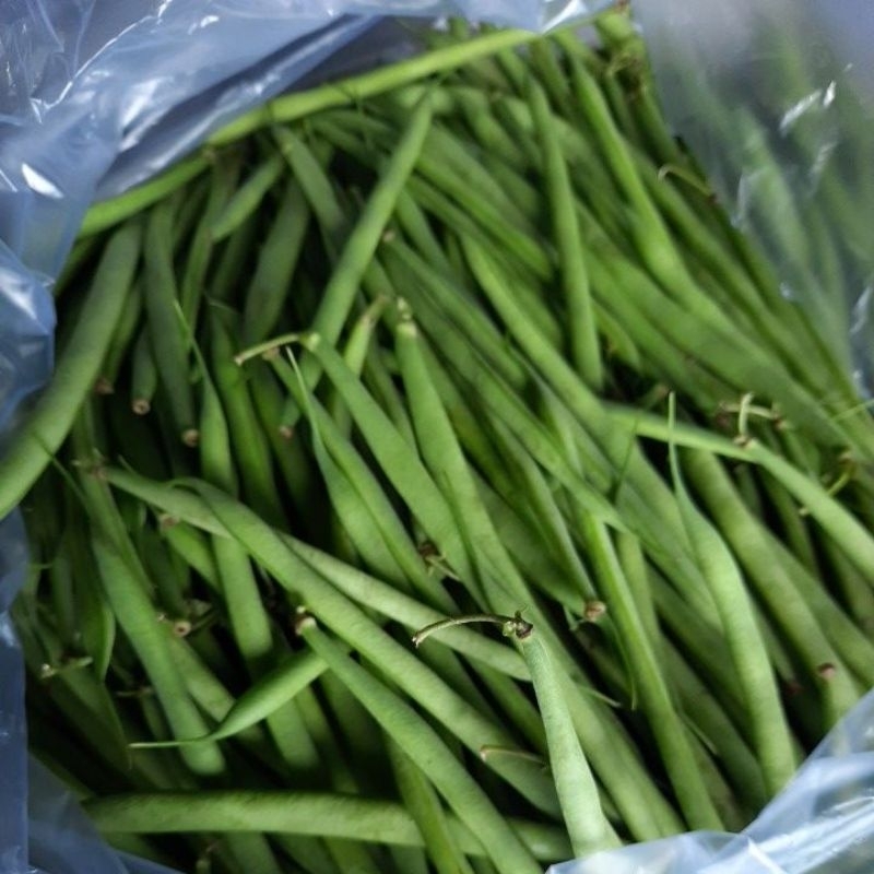 

baby buncis 500 gram