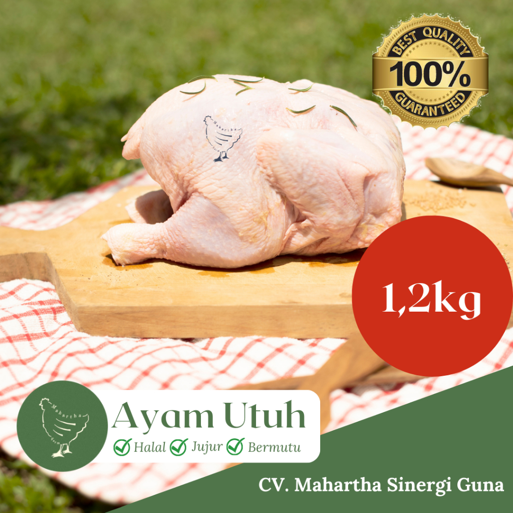 

Ayam Broiler Potong Segar Ukuran 1200gr - CV Mahartha Sinergi Guna