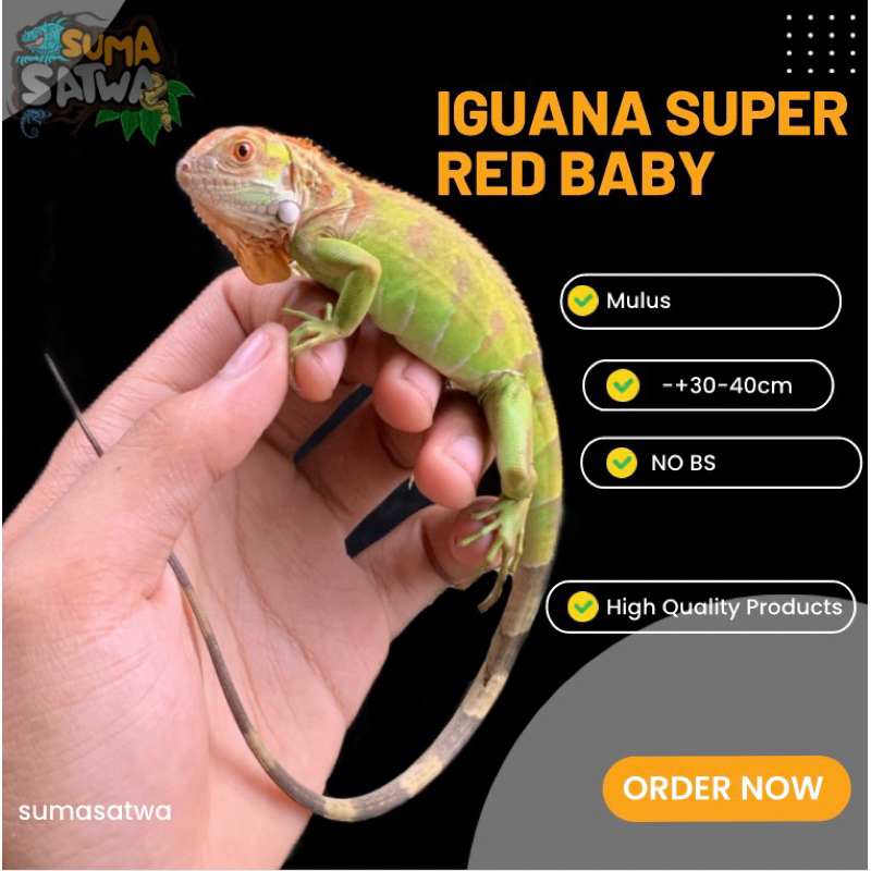 

stempel iguana red