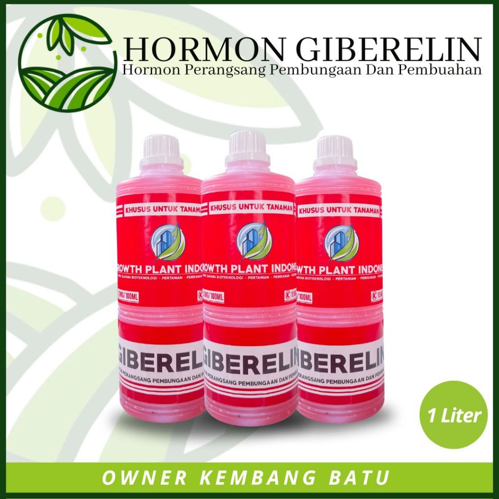 Hormon Giberelin 1 Liter Khusus Pertumbuhan Tanaman Bunga Anggrek