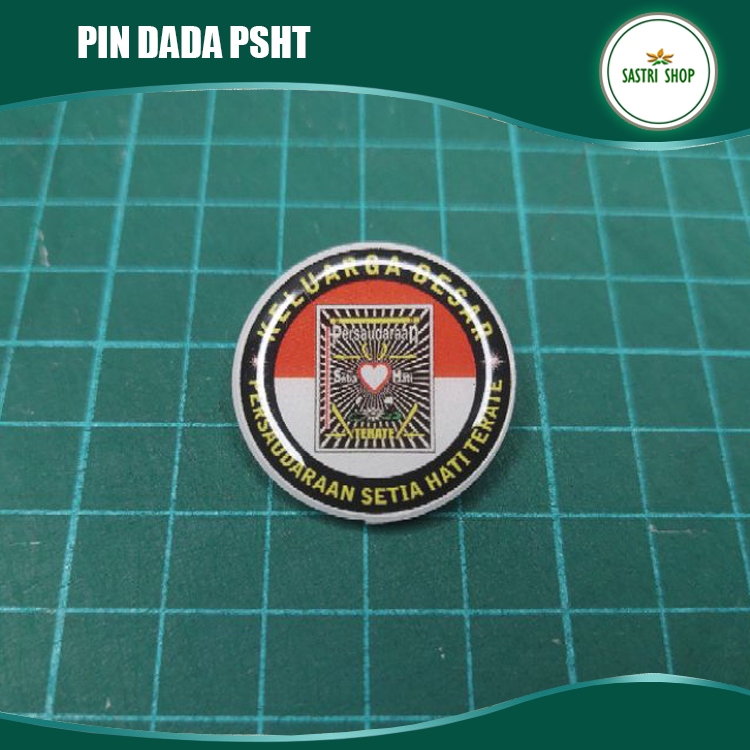 Pin Pencak Silat  Terate PSHT Keren