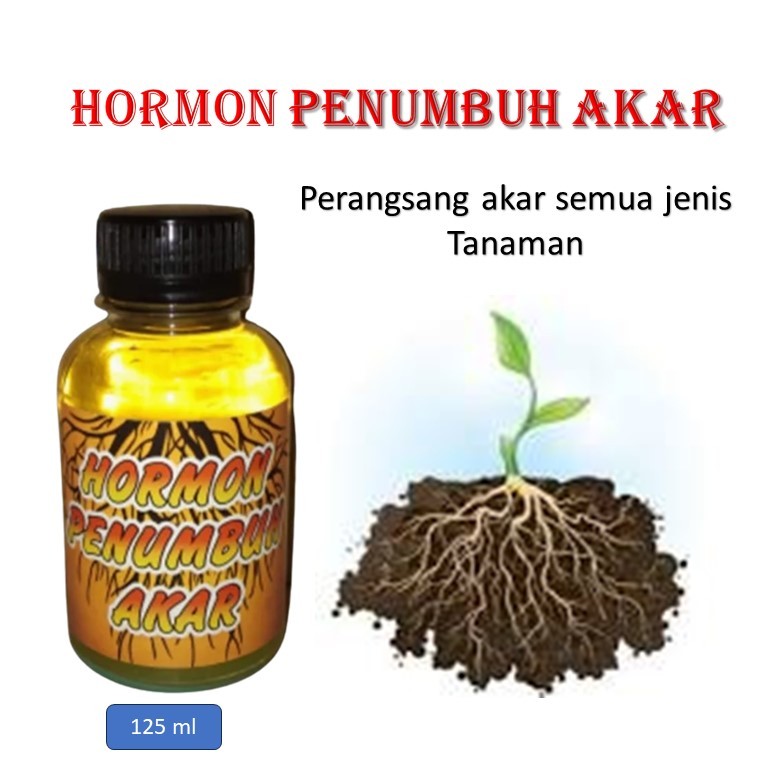 Hormon penumbuh akar tanaman / obat akar tanaman / Penumbuh akar tanaman stek / Obat penumbuh akar