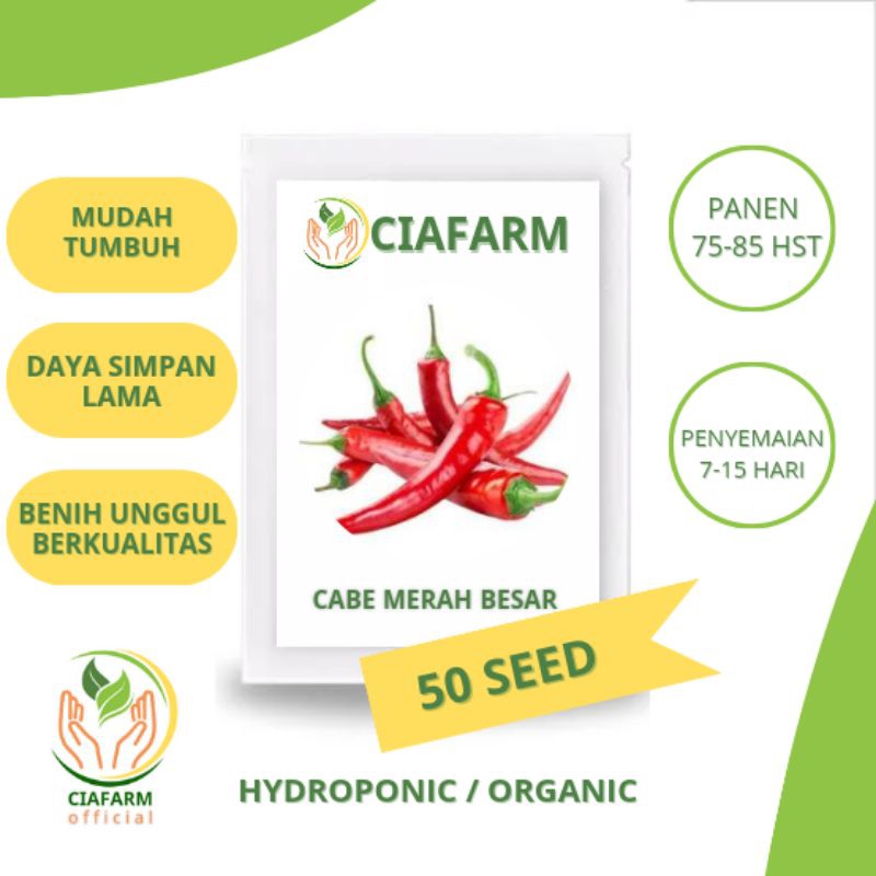 benih cabe merah besar super