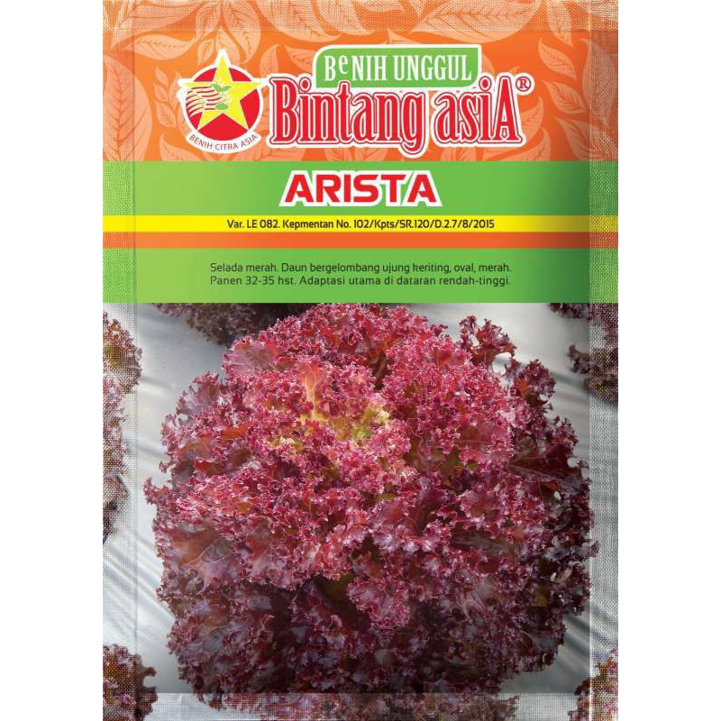 Benih - Bibit Selada berdaun keriting warna merah Arista isi 10 Gram (Bintang Asia)