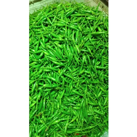 

GROSIR CABAI CABE RAWIT IJO KG