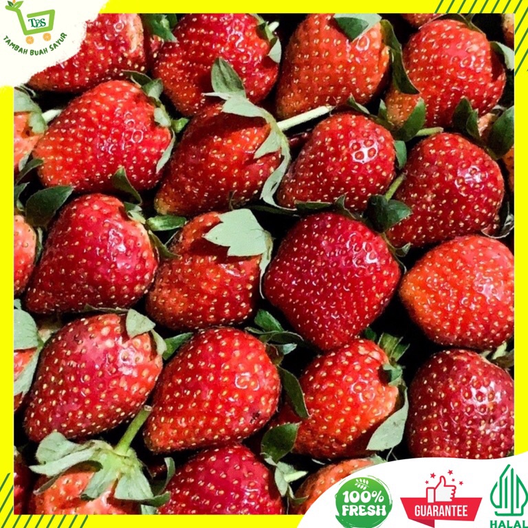 

READY STOK STRAWBERRY 1 KG BUAH STRAWBERRY STRAWBERRY FRESH KHUSUS SAMEDAY DAN INSTAN
