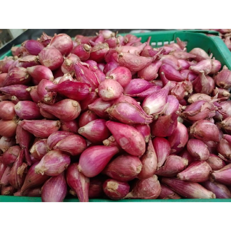 

Bawang Merah Brebes ukuran Sedang 1kg