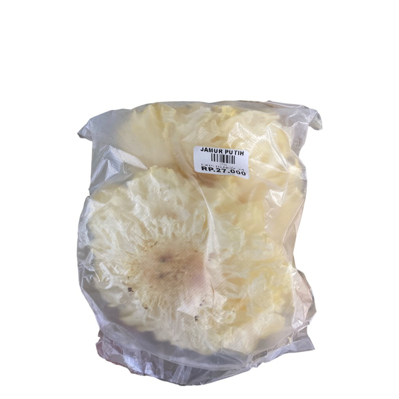 

JAMUR PUTIH
