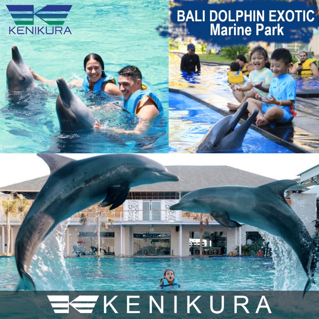 Ticket Bali Dolphin Exotic Marine Park Swim with Lumba Lumba Tiket DISCOVERY + Private Package