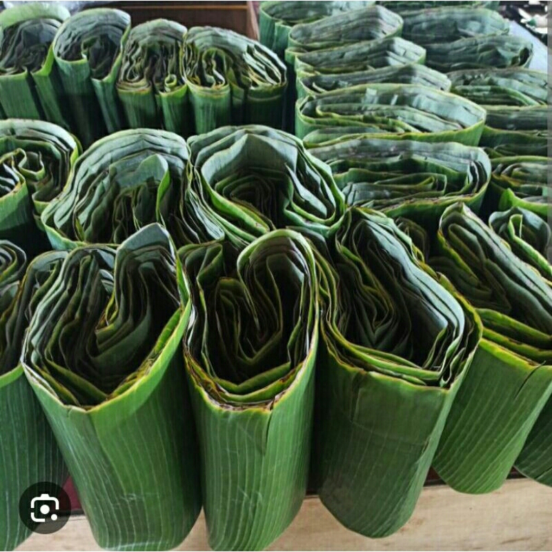 

daun pisang batu 25 lembar 1ikat kualitas terbaik bisa tahan 1minggu