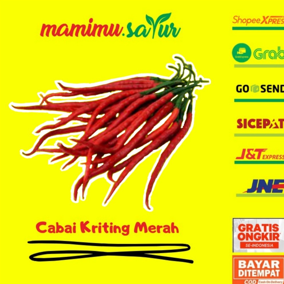 

New event CABAI CABE MERAH KERITING CABAI MERAH KERITING CABE MERAH CABE KRITING SAYUR SAYURAN SEGAR 5 GR