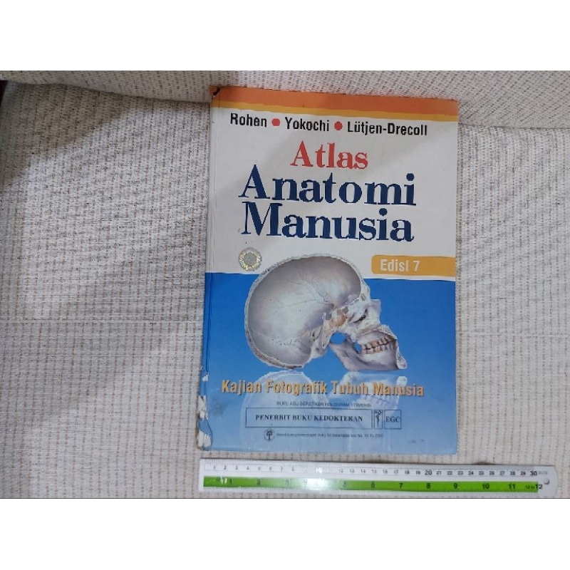 ASLI ORIGINAL Atlas Anatomi Yokochi