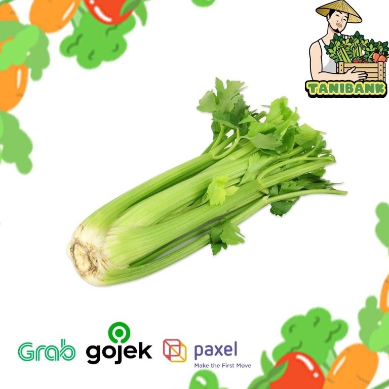 

DISKON HARGA 1KG Celery Stick import Seledri Stik importkualitas PREMIUM dan FRESH