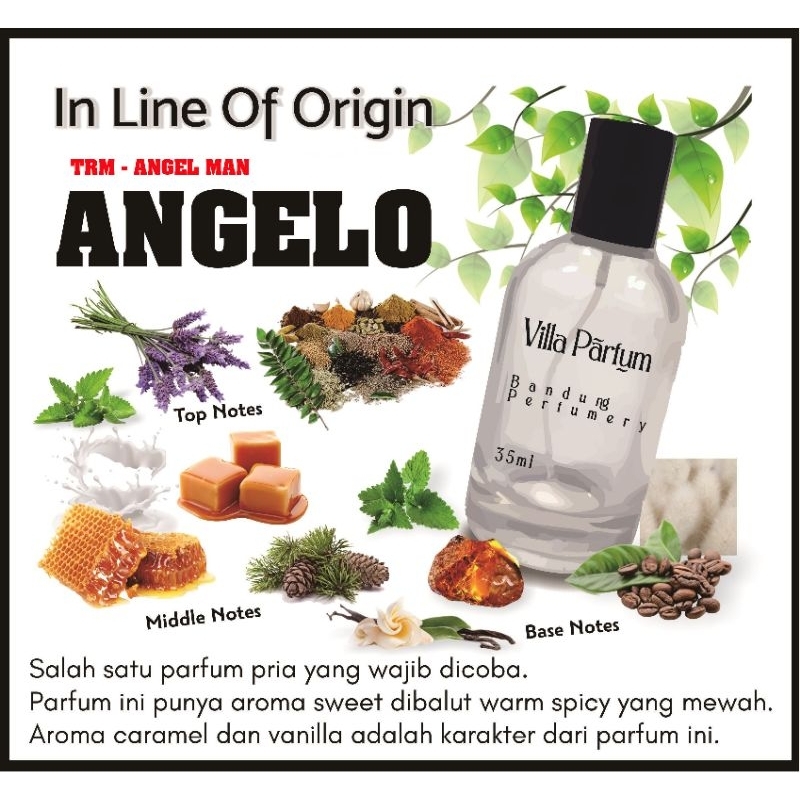 Parfum TRM - Angel Man (ANGELO) villaparfum