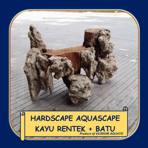DEKORASI AQUASCAPE - HARDSCAPE AQUASCAPE KAYU RENTEK + BATU SIZE 30cm