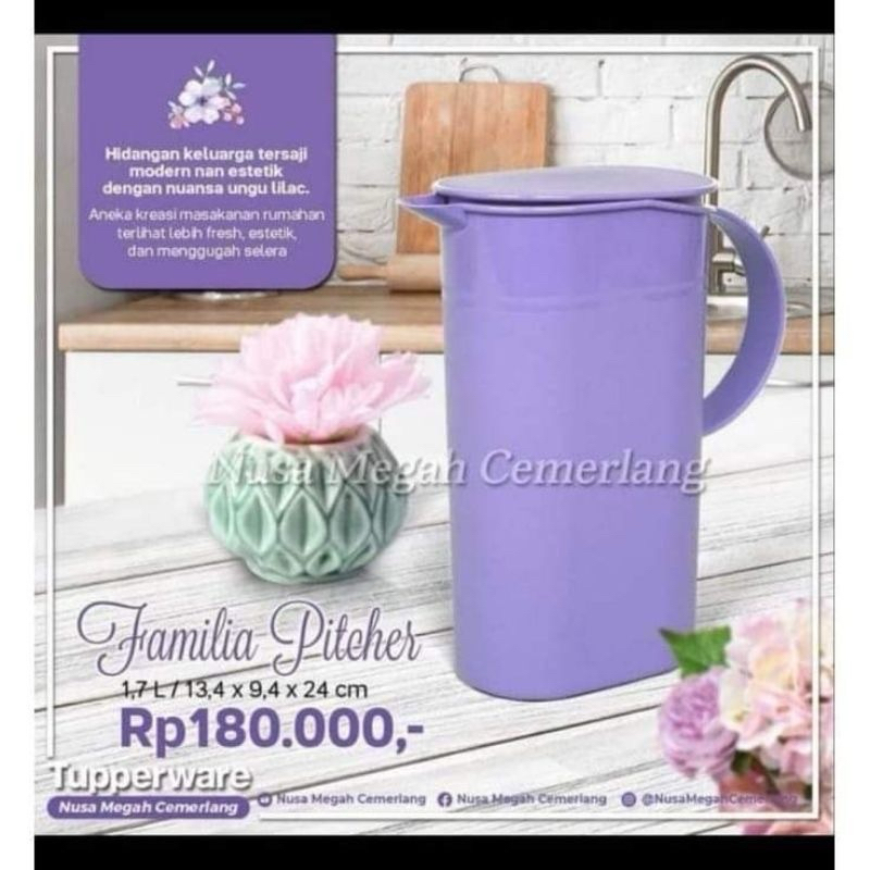 Familia Teko mug tupperware