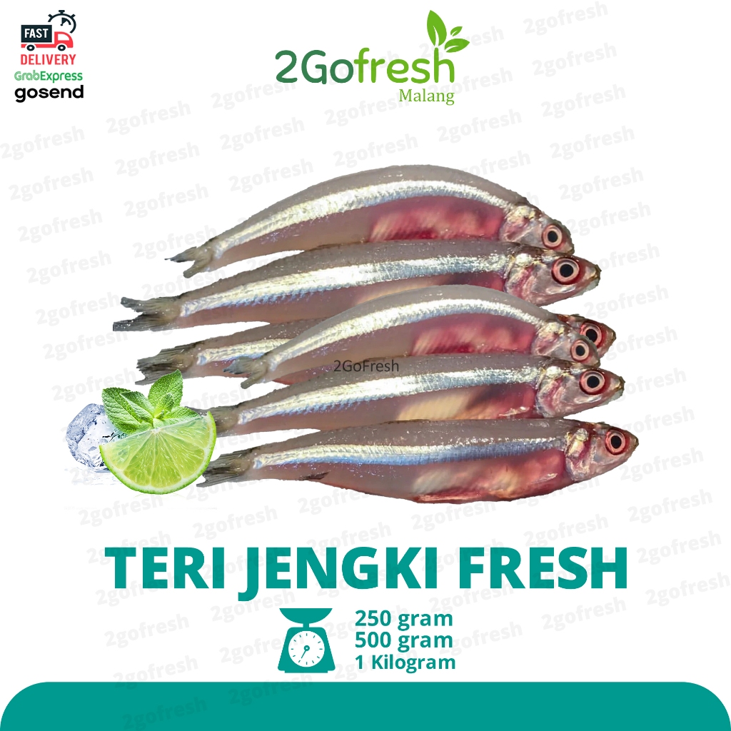 

Ikan Teri Jengki Fresh - Sayur Sayuran