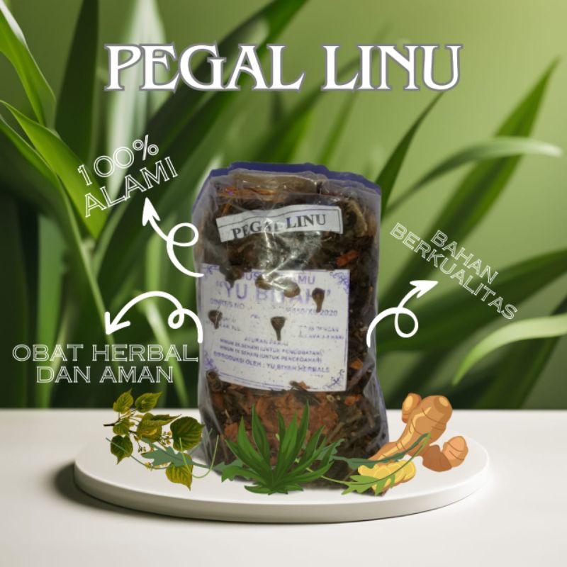 

JAMU PEGAL LINU HERBAL ALAMI, DARI BAHAN ASLI NUSANTARA. MURAHH MERIAHH