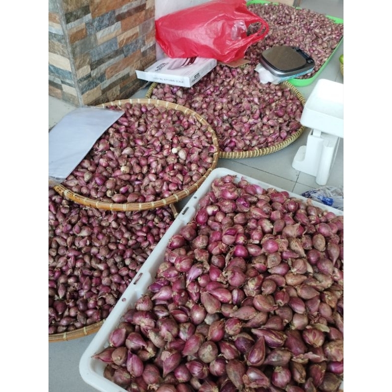 

Bawang Merah Brebes Ukuran Kecil 500 gram