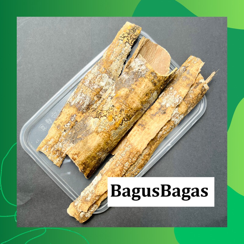 

Kulit Kayu Pule 100 g BagusBagas Bagus Bagas