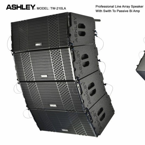 Speaker Ashley Line Array TW 210 TW 210LA ORIGINAL