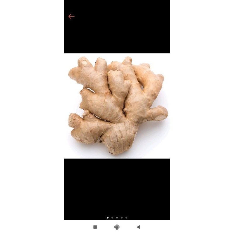 

jahe putih fresh premium 1/2kg