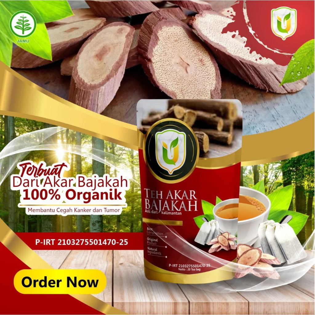 

Teh Celup Herbal Akar Kayu Bajakah Asli Dari Kalimantan