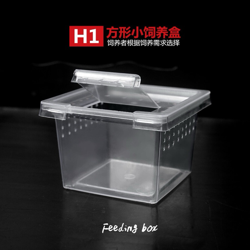 NOMOY H1 BOX REPTIL PLASTIK KANDANG MINI REPTILE NOMOYPET