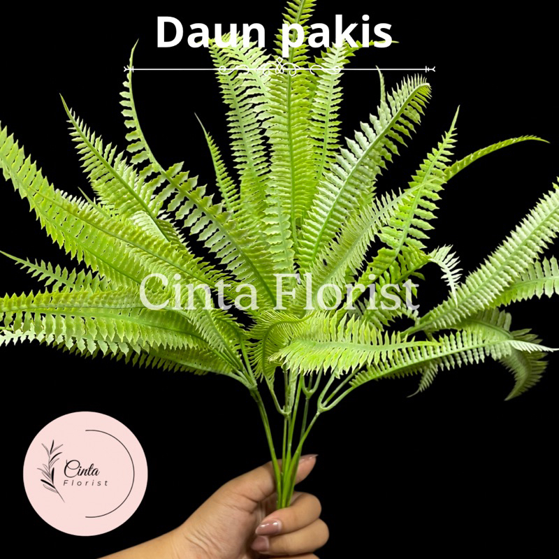 DAUN PAKIS /DAUN PAKIS IMPORT/DAUN PAKIS BUCKET