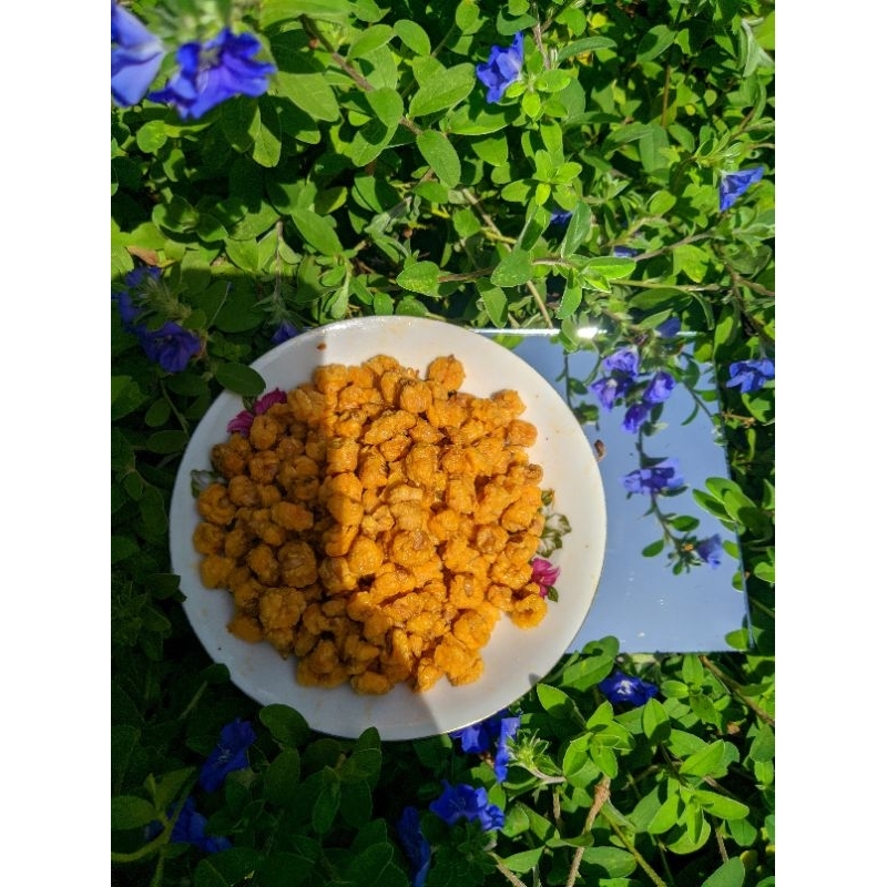 

Jagung Bantat