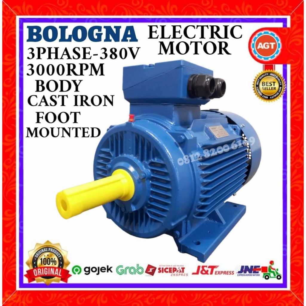 ELECTRIC MOTOR BOLOGNA 37KW 50HP 2POLE 3000RPM 3PHASE B3 CAST IRON