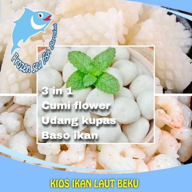 

Paket isian CAPCAY, TUMIS & Nasi goreng Seafood, cumi flower | Udang kupas | Baso ikan