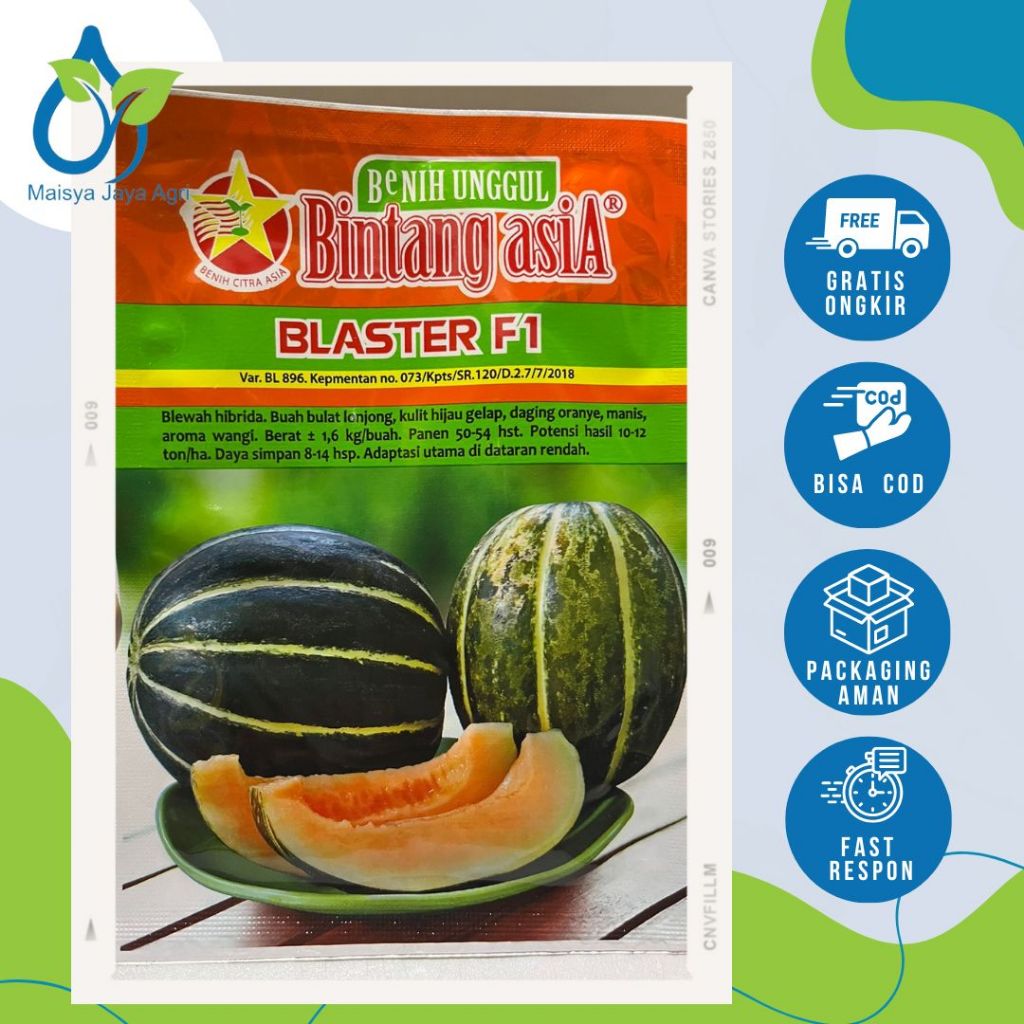 Benih blewah blaster bintang asia