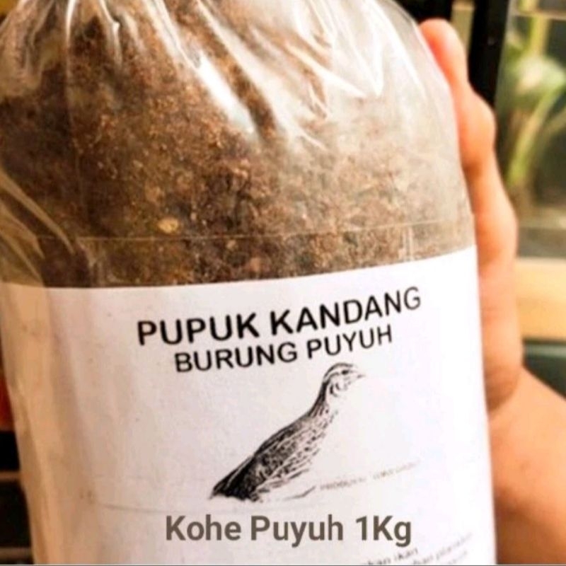 1kg PUPUK KANDANG KOTORAN PUYUH KERING / KOHE PUYUH