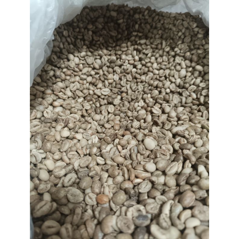 

Kopi Temanggung Green Bean Robusta G1/ Biji Kopi Petik Merah/ Kopi Beras Robusta G1 asli Temanggung 1000gr