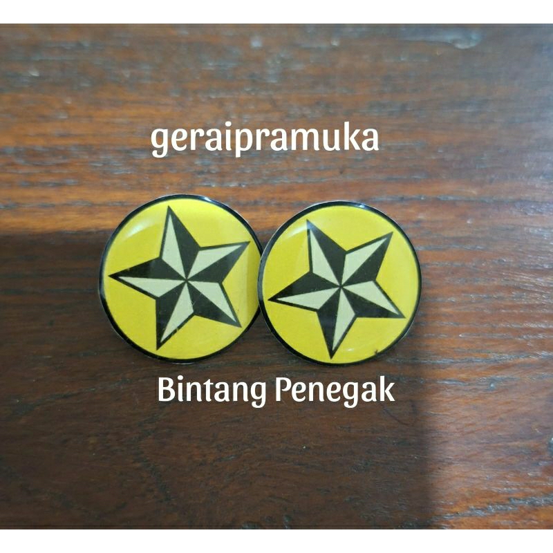 Pin Bintang Tahunan Penegak