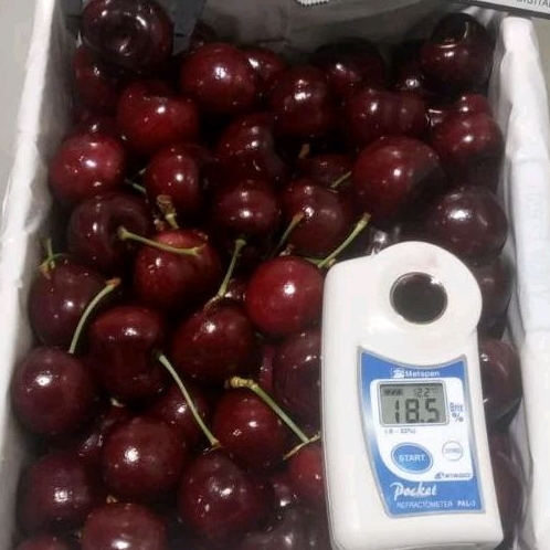

Cherry Tasmanian Premium Size 34-36/100 Gram