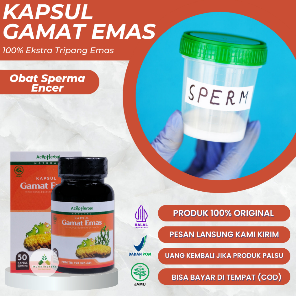 Gamat Emas Kapsul - Obat Mani Encer Pria, Sperma Encer, Sperma Kosong, Pengental Sperma Encer, Mempe