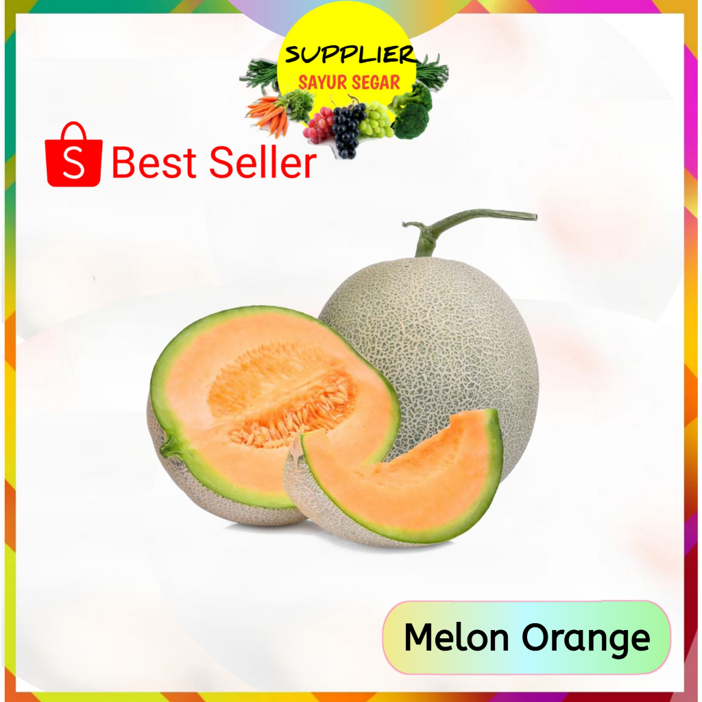 

Buah Melon Orange Per Buah - Buahan Segar Online Murah Palembang